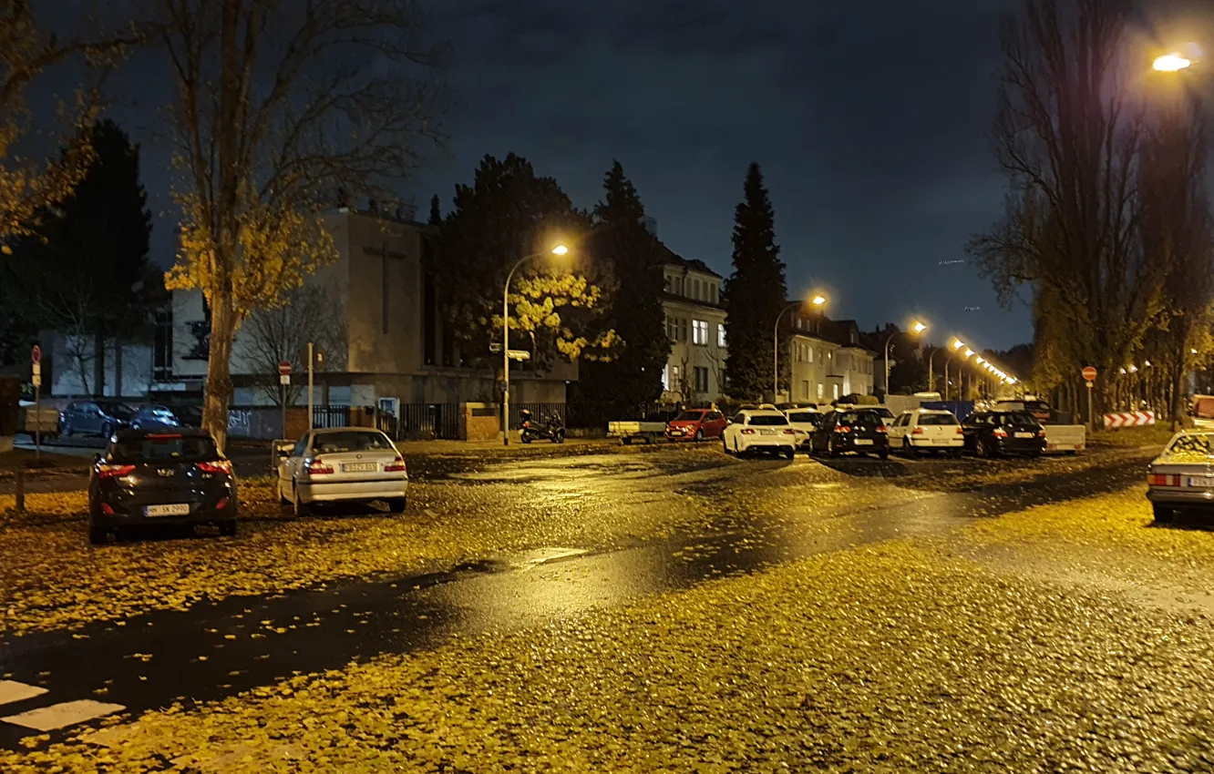 Фото обои осень, ночь, Германия, Франкфурт