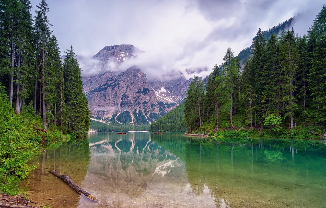 лес вода горы