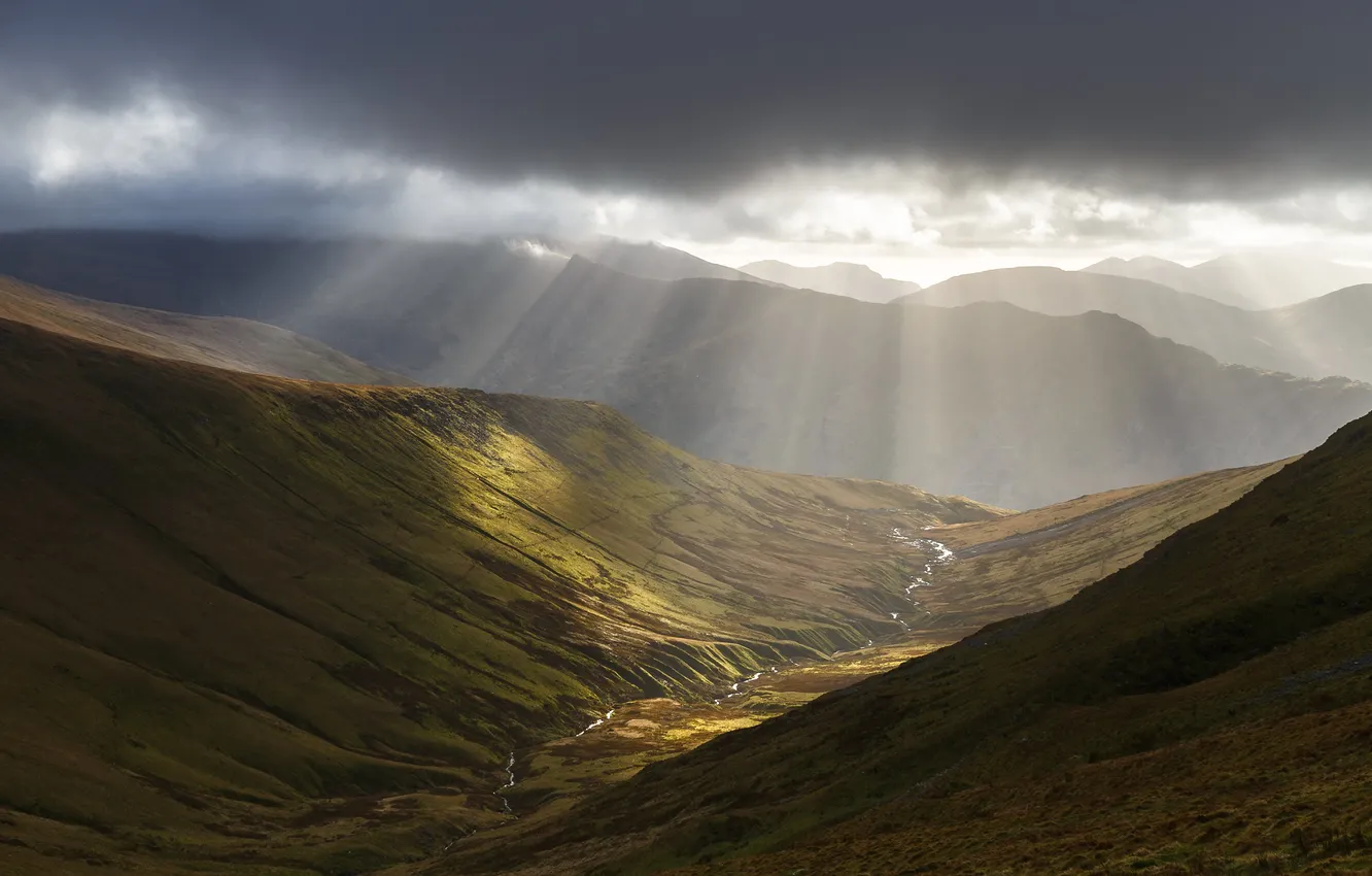 Фото обои горы, туман, утро