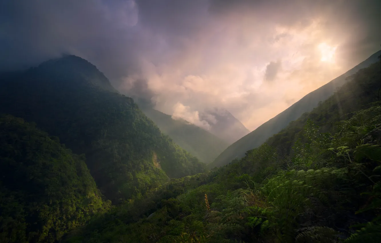 Фото обои Jungle, Clouds, Green, Sunset, Mountains