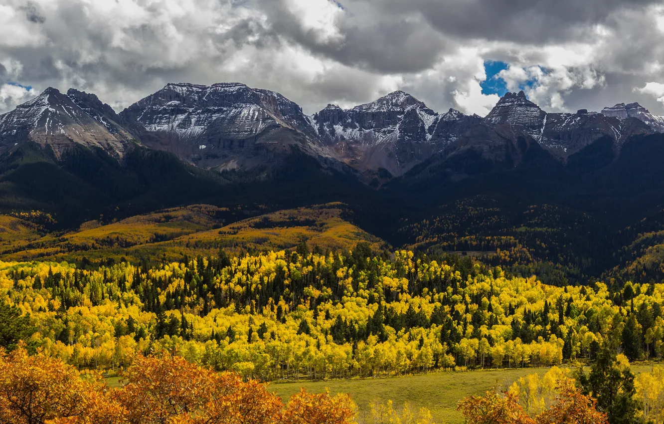 Фото обои осень, лес, горы