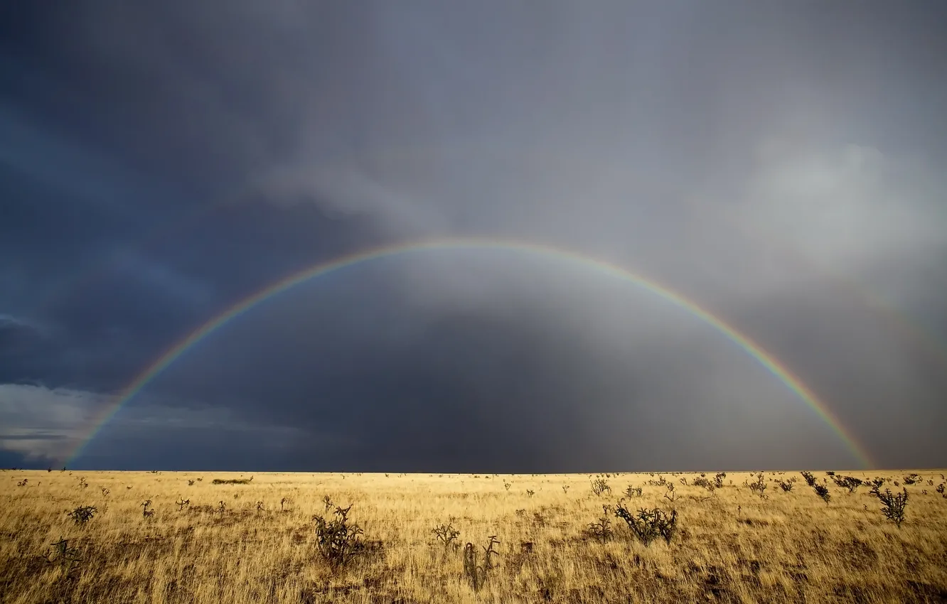 Фото обои небо, трава, облака, радуга, Нью-Мексико