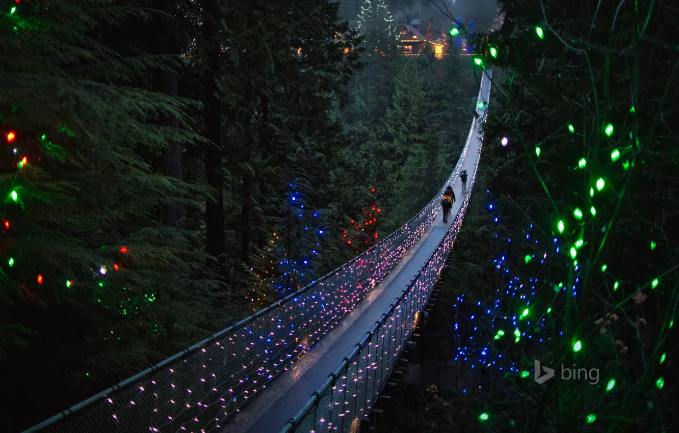 Фото обои деревья, огни, люди, праздник, Канада, Британская Колумбия, висячий мост, Северный Ванкувер