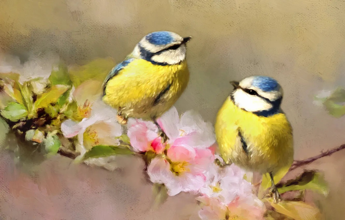 Фото обои ветки, птица, две, синица