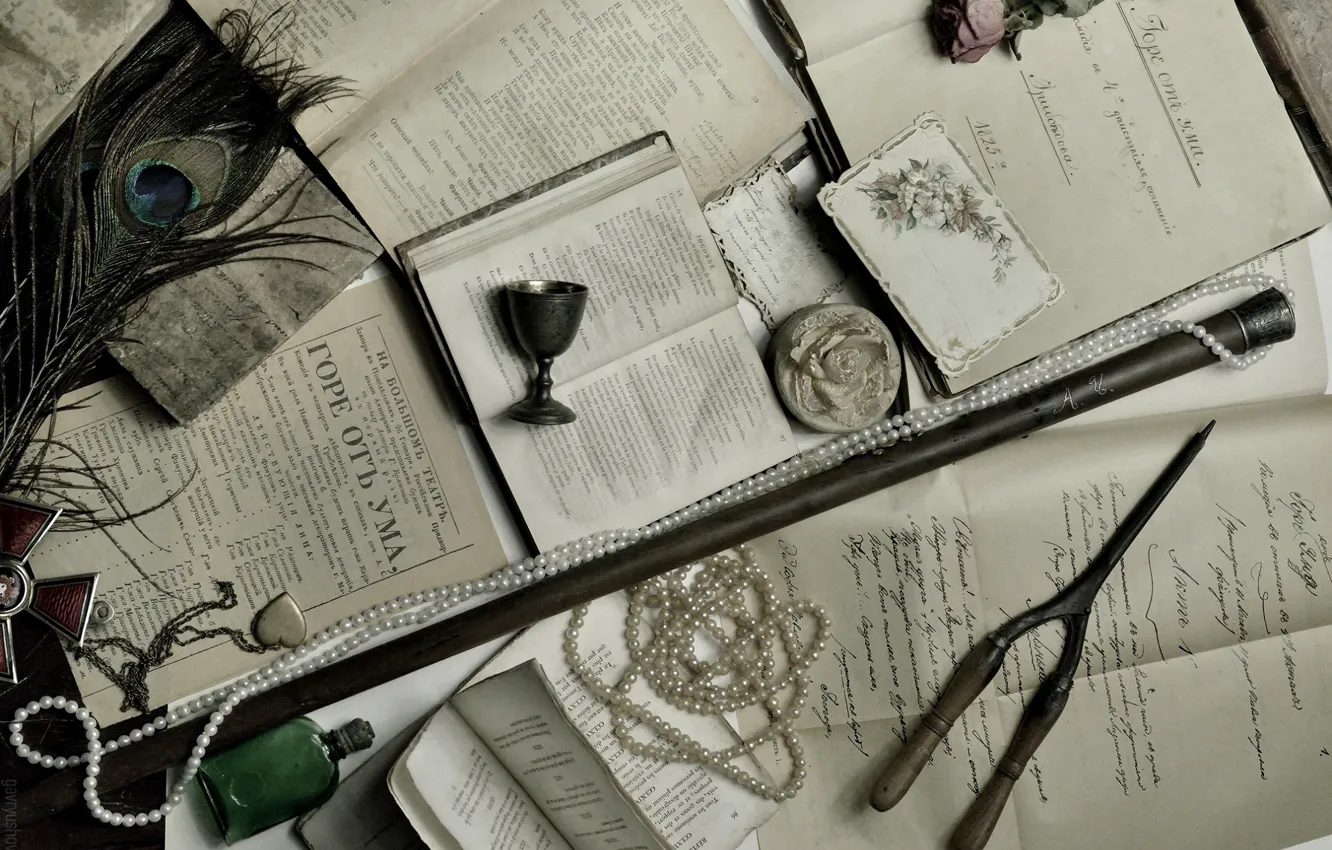 Фото обои ретро, перо, книги, розы, ожерелье, кулон, рюмка, Грибоедов