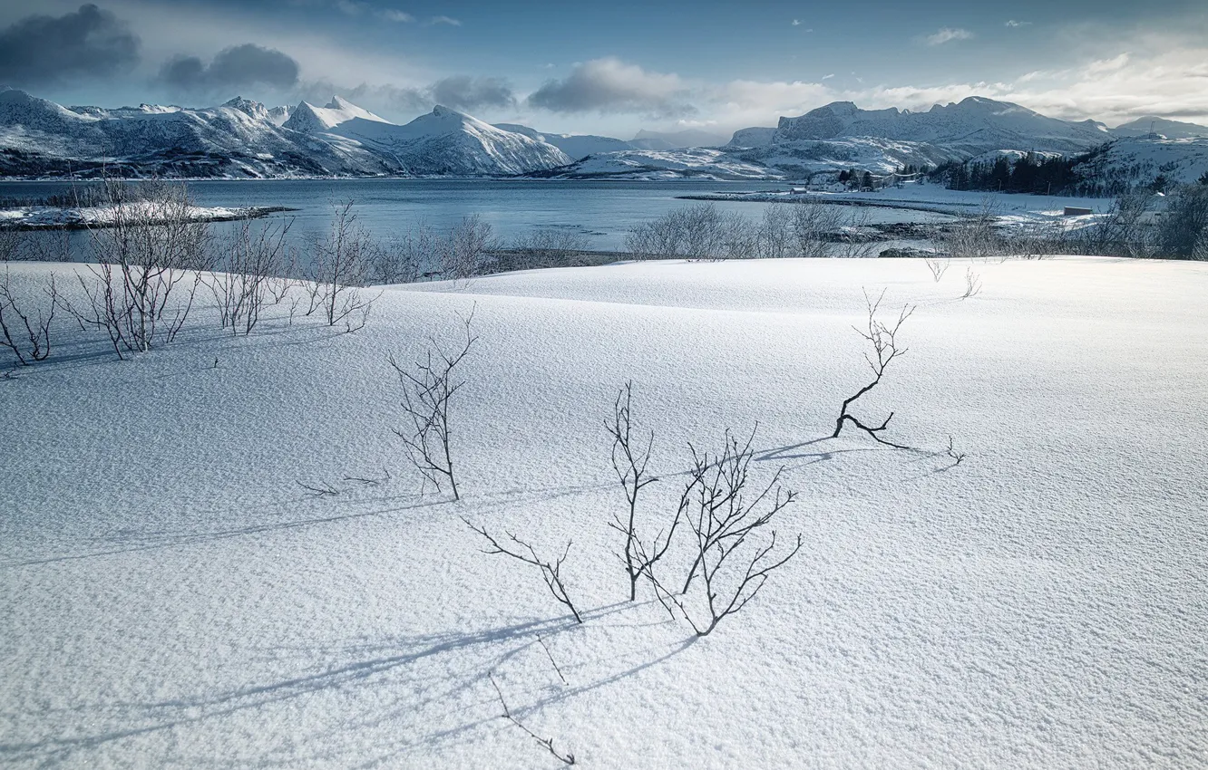 Фото обои снег, Norway, Senja