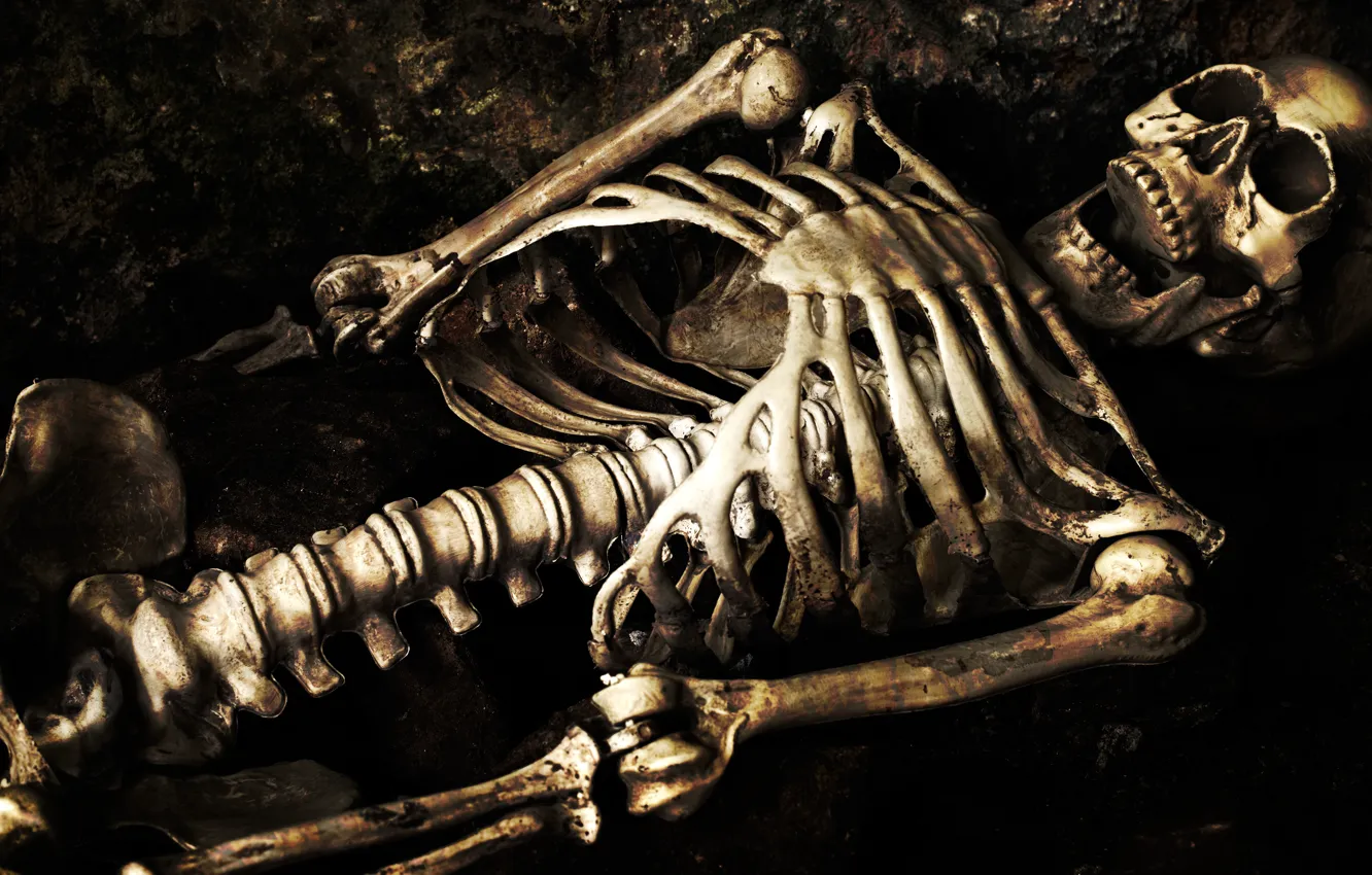 Фото обои grave, bones, skeleton