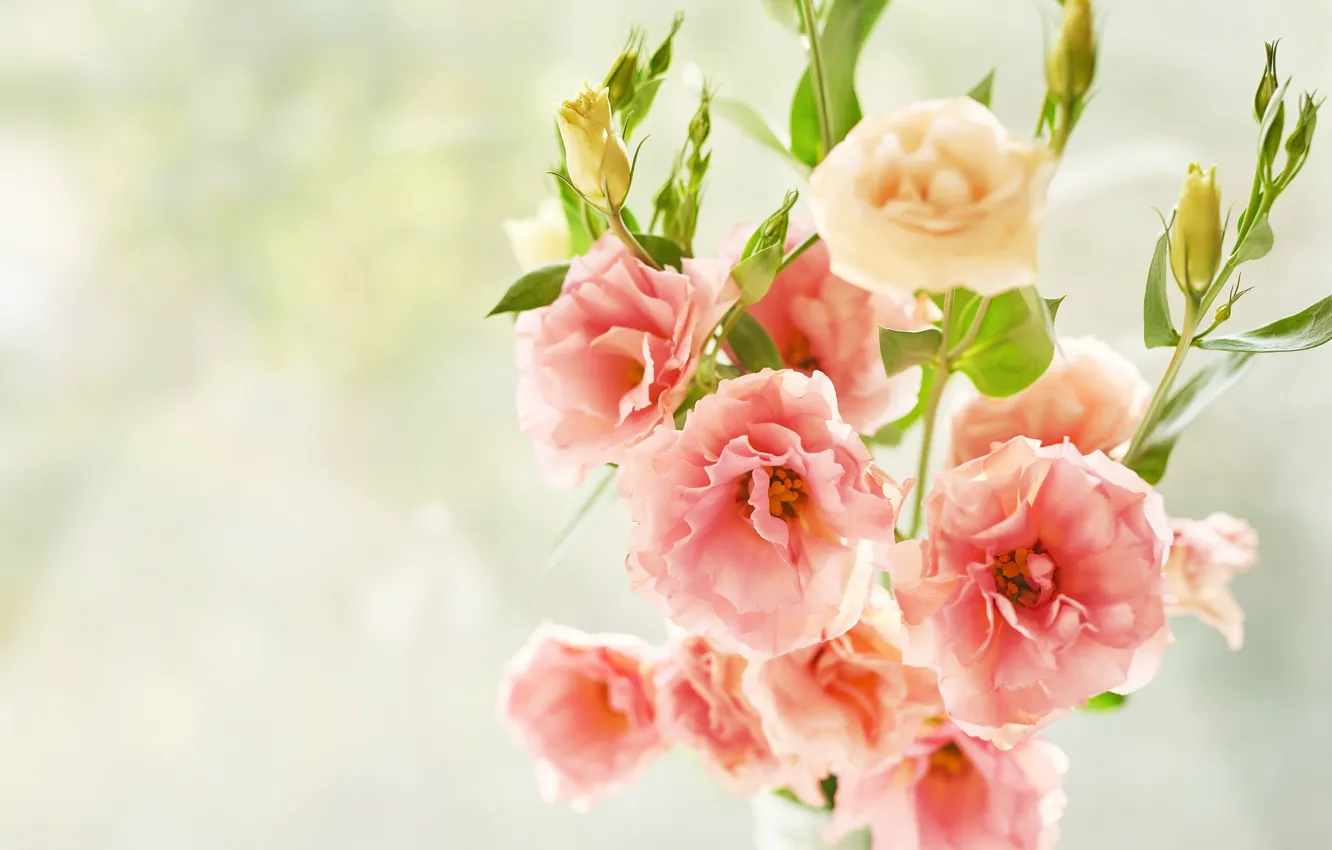 Фото обои цветы, букет, эустома, Yarovoy Aleksandr