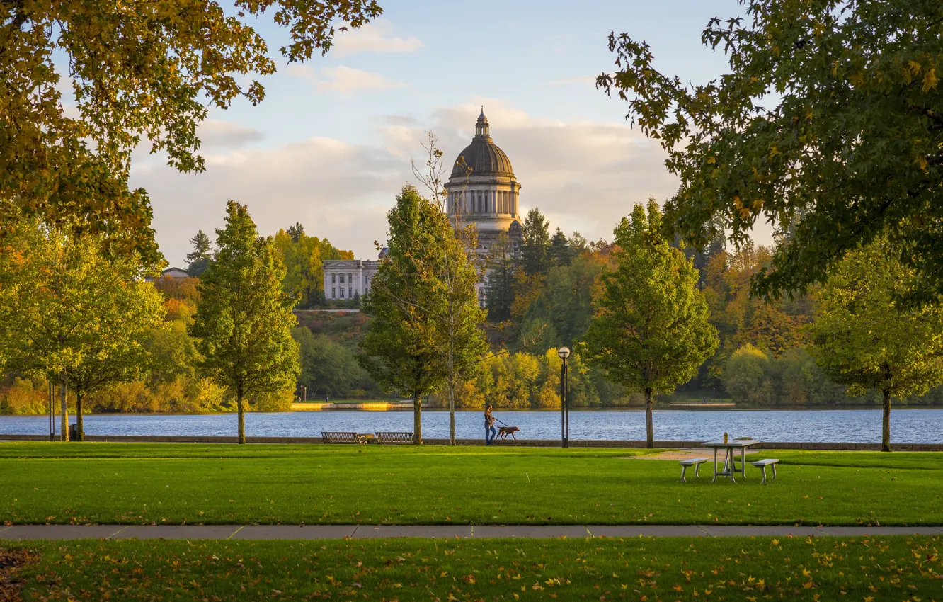 Фото обои осень, деревья, парк, здание, Вашингтон, США, набережная, водоем