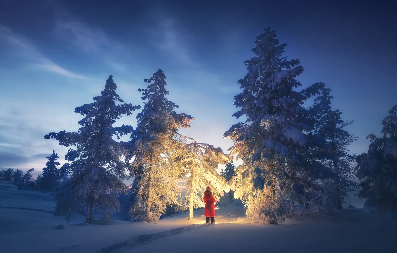 Фото обои зима, свет, снег, деревья, пейзаж, природа, женщина, вечер