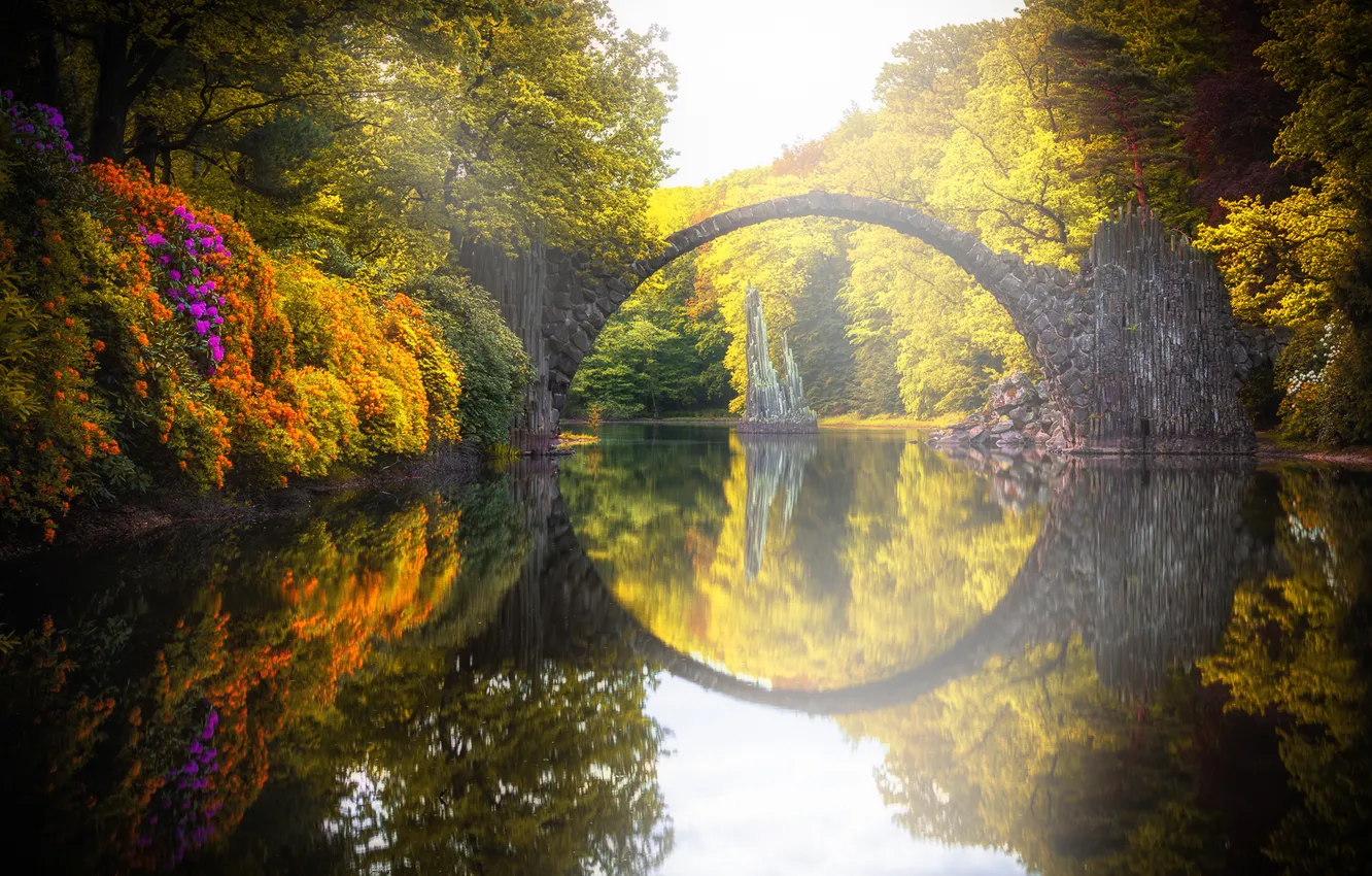 Фото обои мост, природа, парк, отражение, река