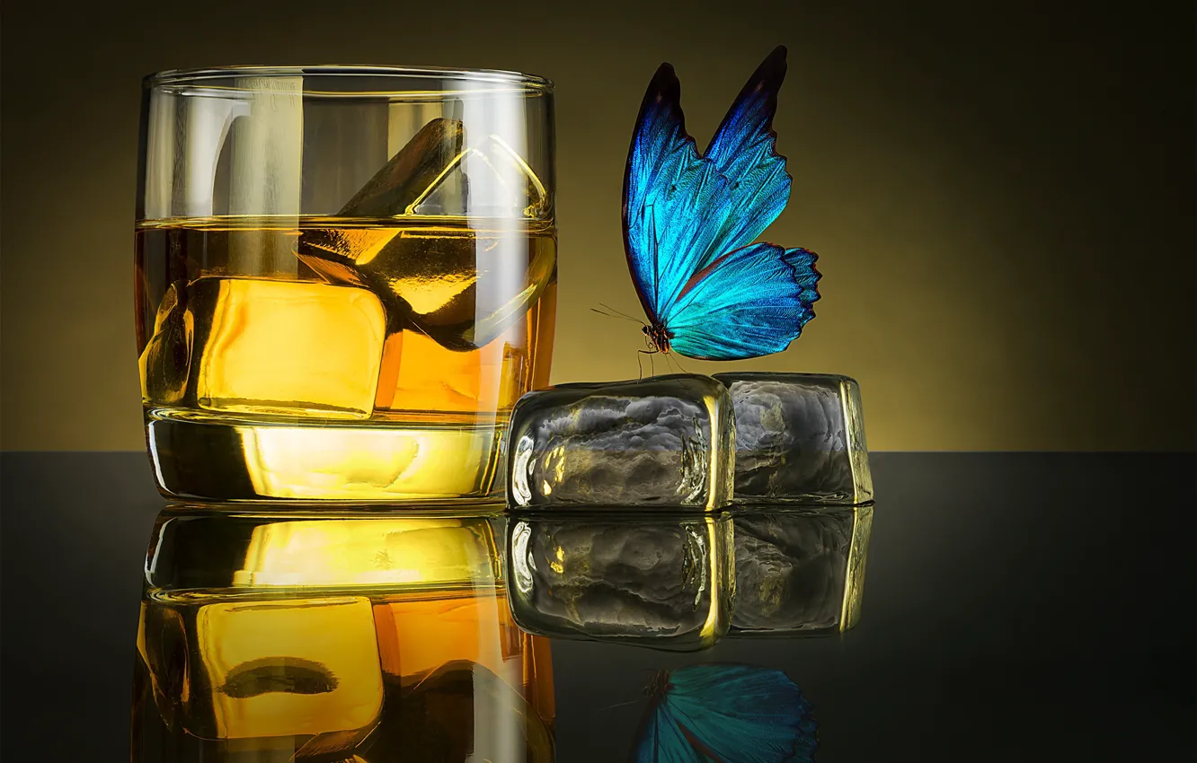 Фото обои лед, бабочка, бокал, glass, ice, виски, whiskey, butterfly