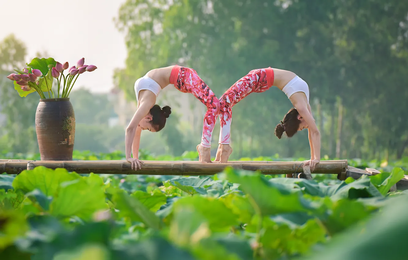 Фото обои поза, девушки, гимнастика, йога, азиатки
