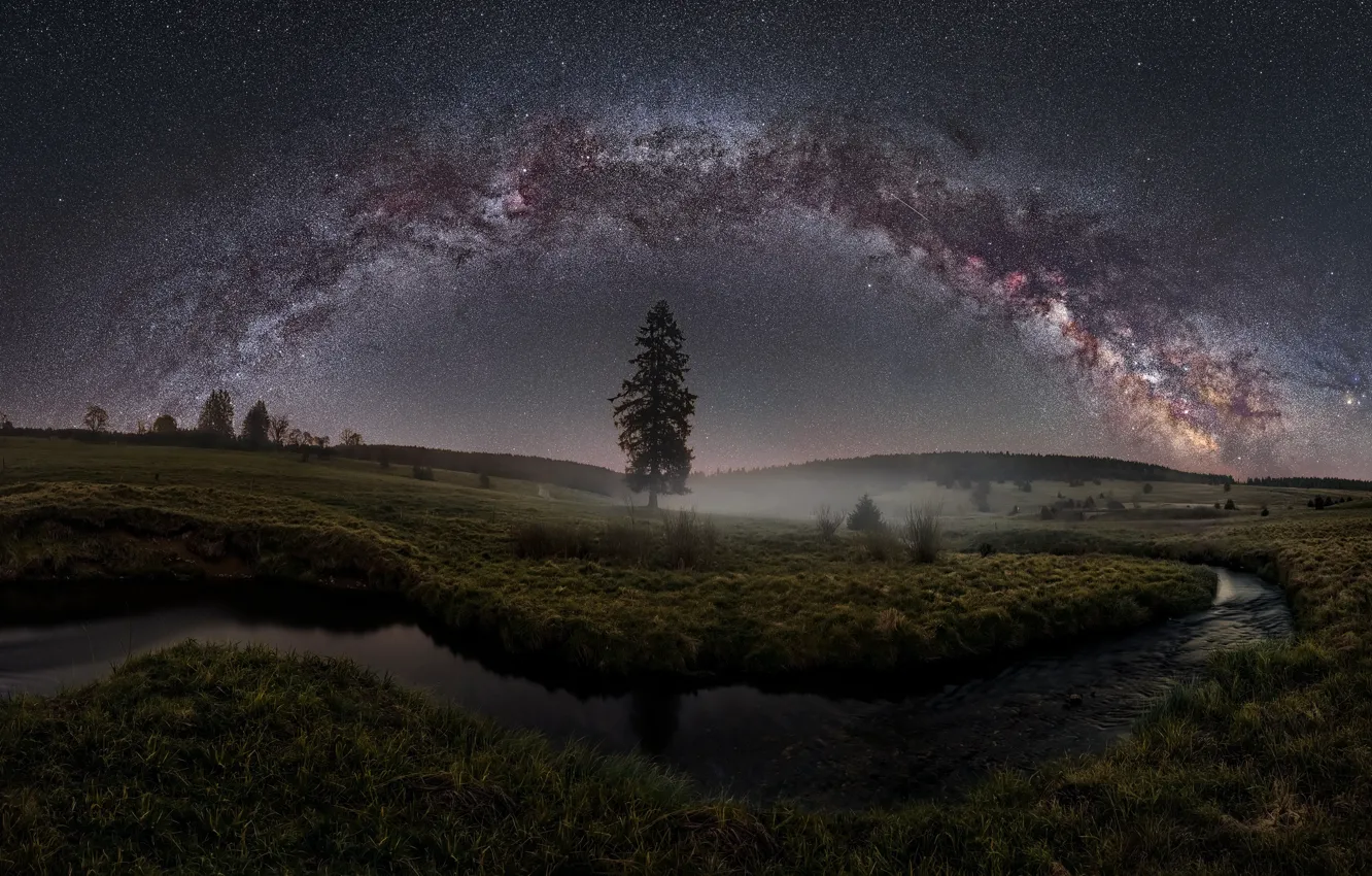 Фото обои звезды, туман, река, дерево, Млечный Путь, river, stars, tree