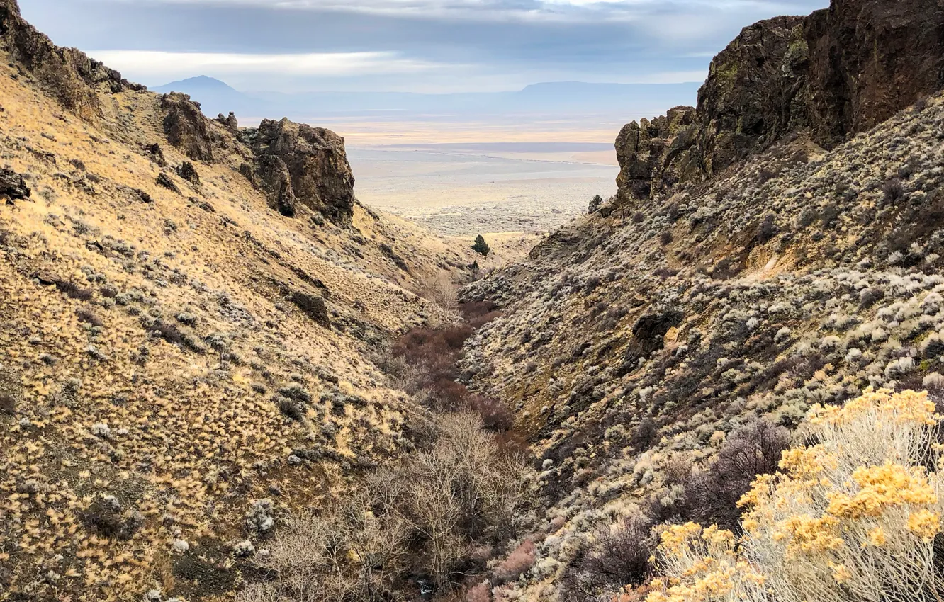 Фото обои United States, desert, Oregon, rocks