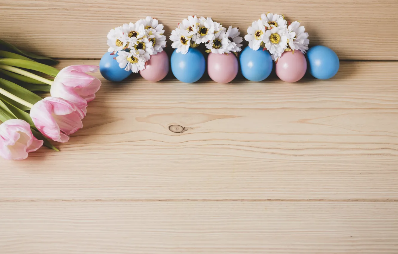 Фото обои яйца, пасха, тюльпаны, Праздник, хризантемы