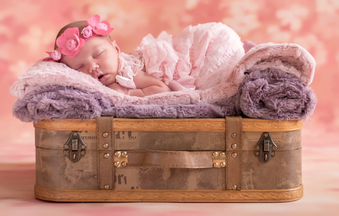 Фото обои сон, девочка, чемодан, венок, младенец, спящая