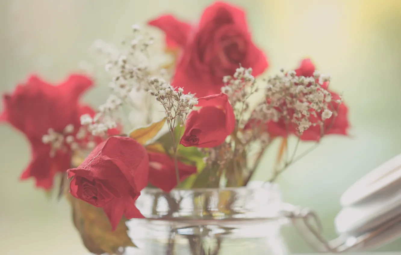 Фото обои beauty, roses, jar