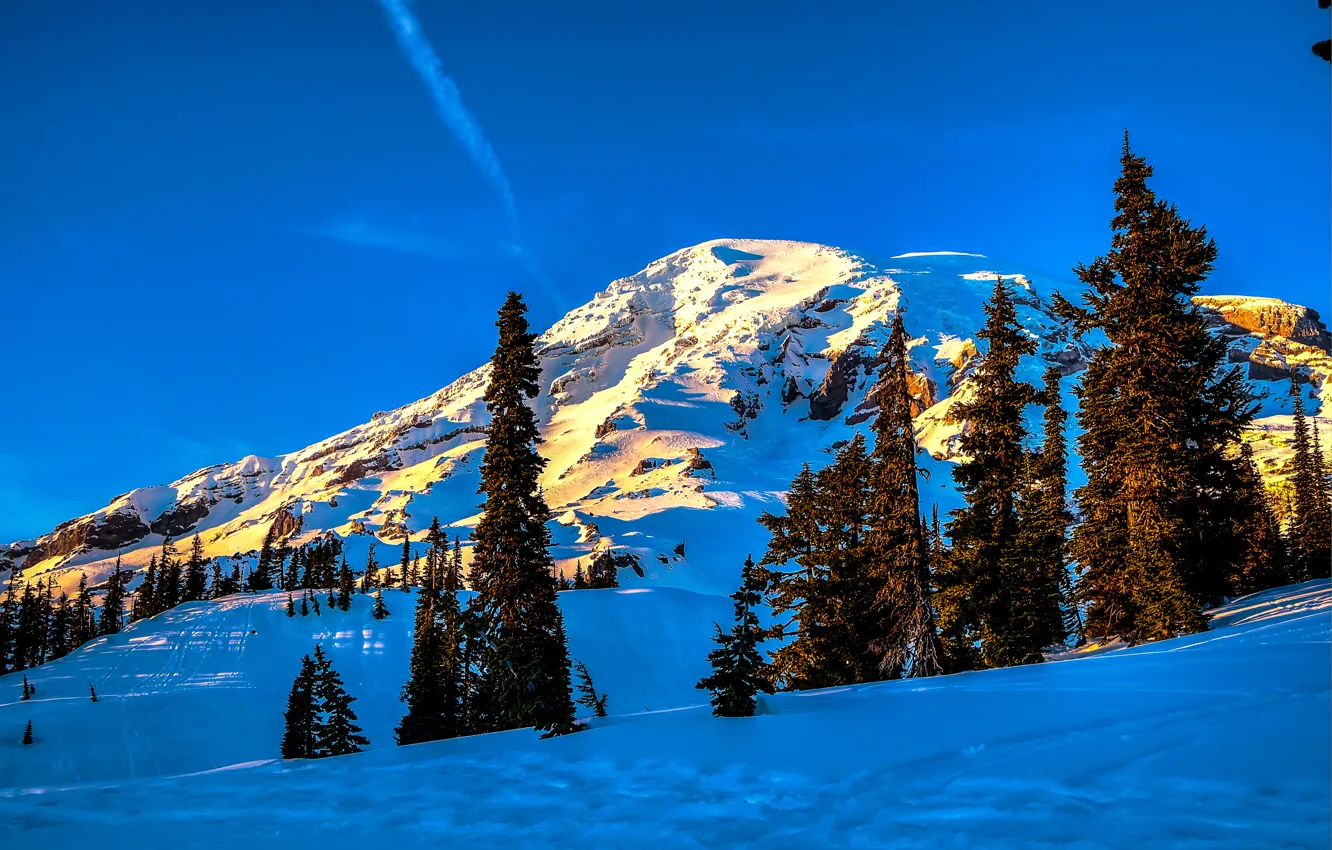 Фото обои зима, небо, снег, деревья, горы, ель, склон