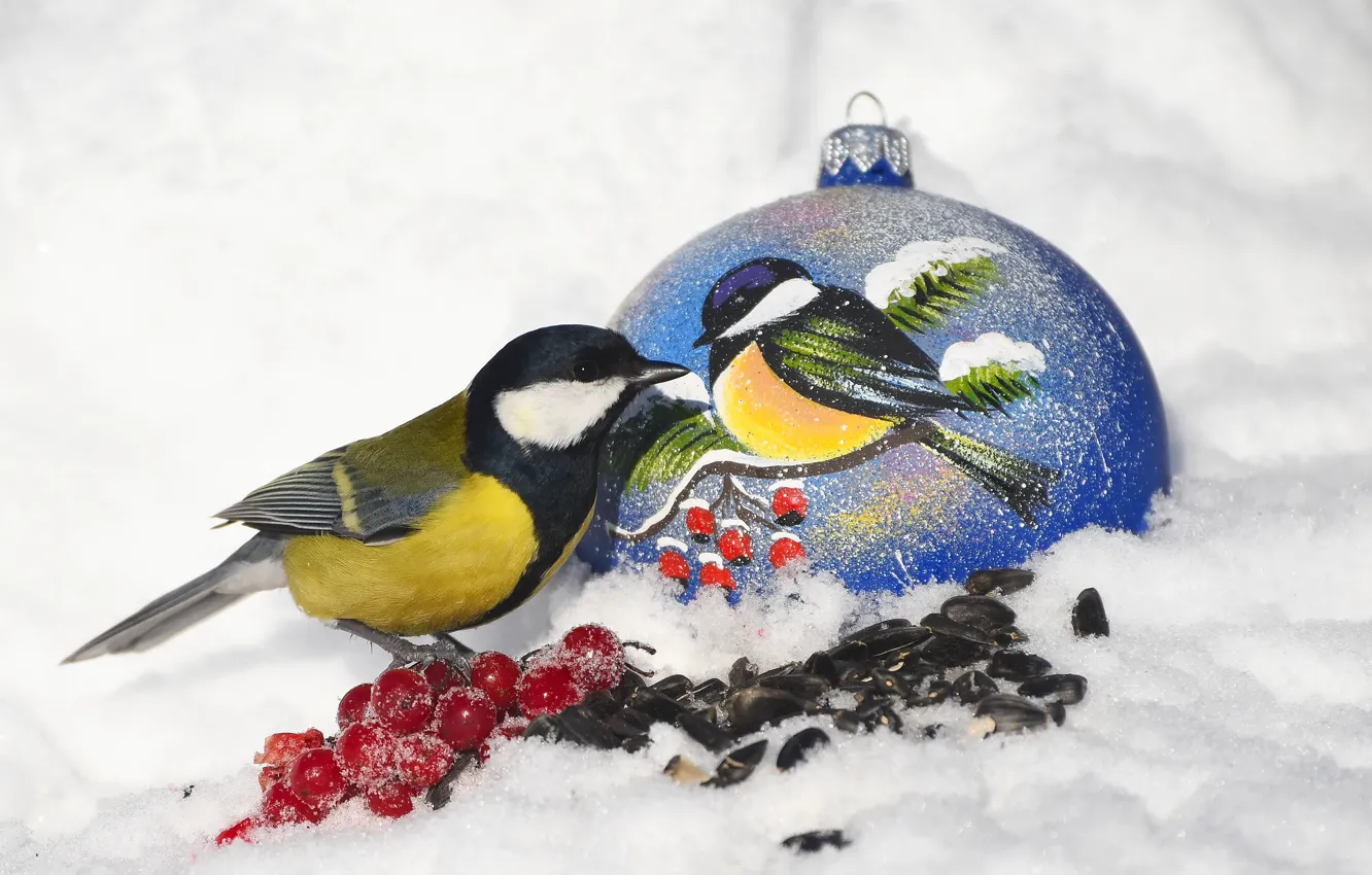 Фото обои праздник, новый год, синица