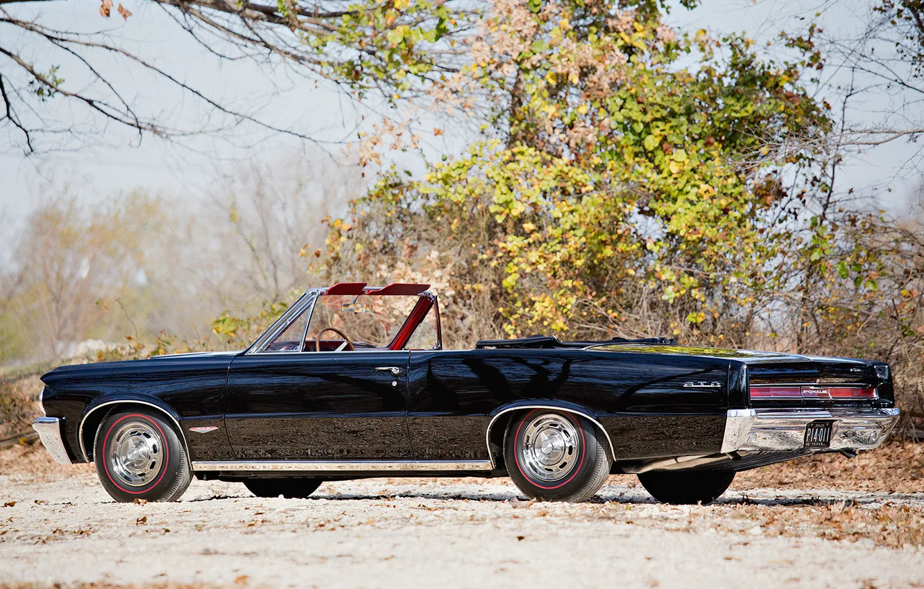 Фото обои Кабриолет, Pontiac, GTO, Понтиак, 1964, ретро автомобили, Convertible, LeMans