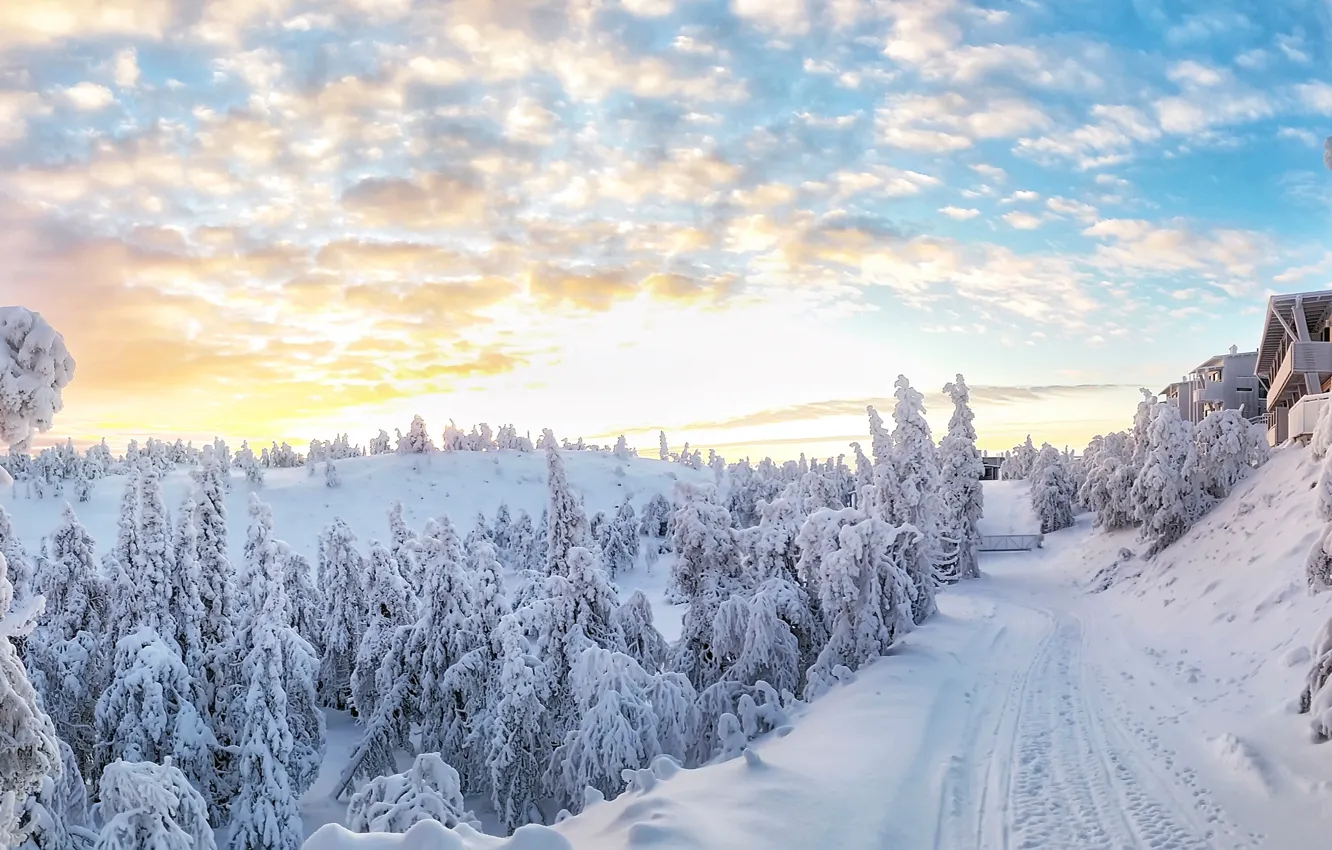 Фото обои зима, снег, деревья, Рука, Финляндия, Finland, Kuusamo, Куусамо