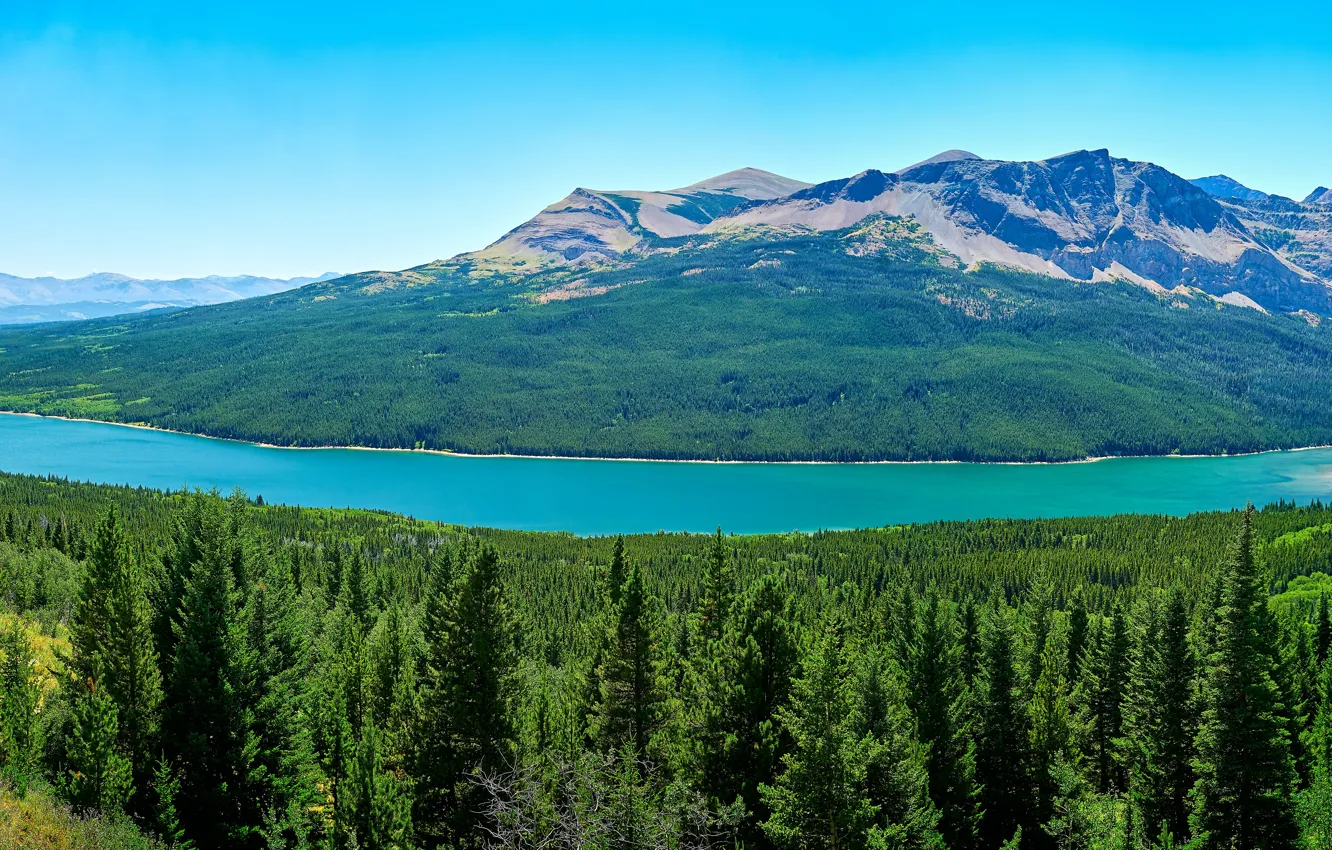 Фото обои лес, небо, деревья, горы, озеро, панорама, США, Glacier National Park