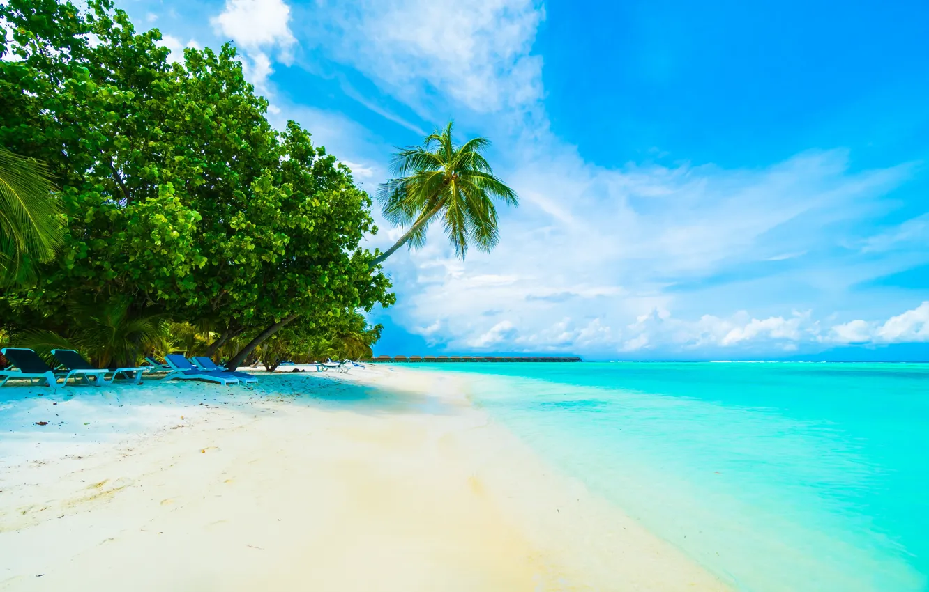 Фото обои Песок, Море, Пляж, Лето, Берег, Тропики, Пальмы, Мальдивы