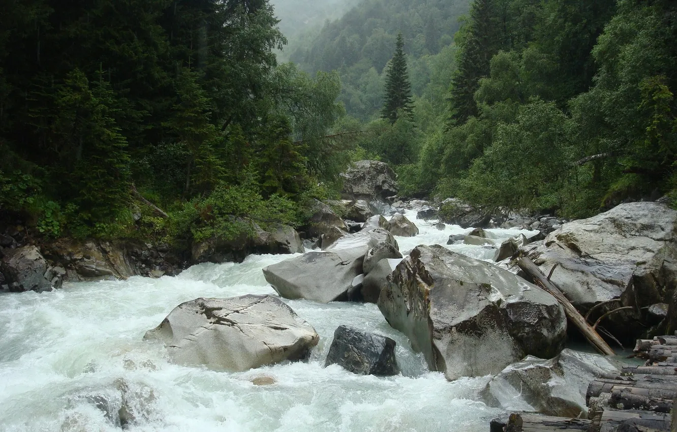 Фото обои зелень, река, камни, русская природа