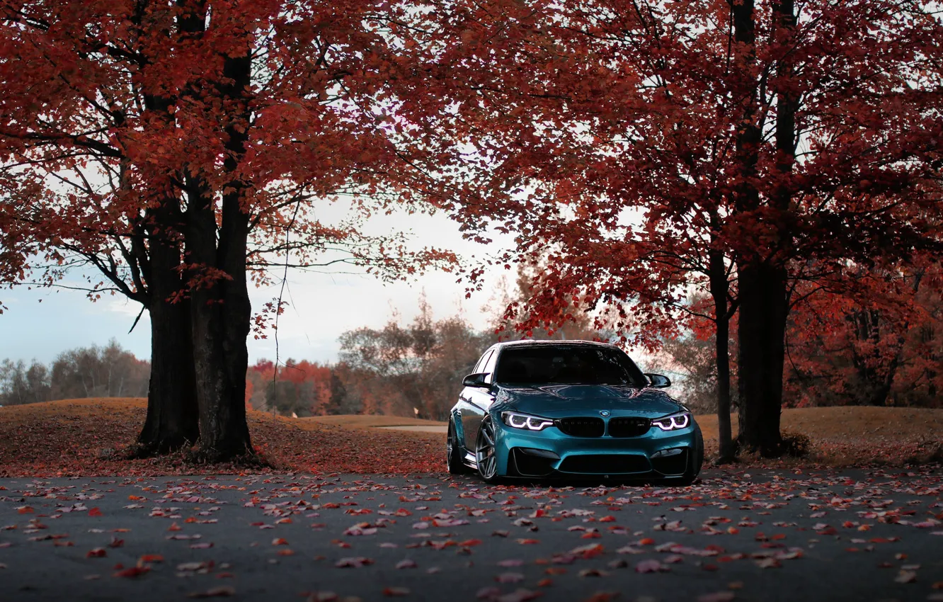 Фото обои BMW, Blue, Autumn, F80, Sight