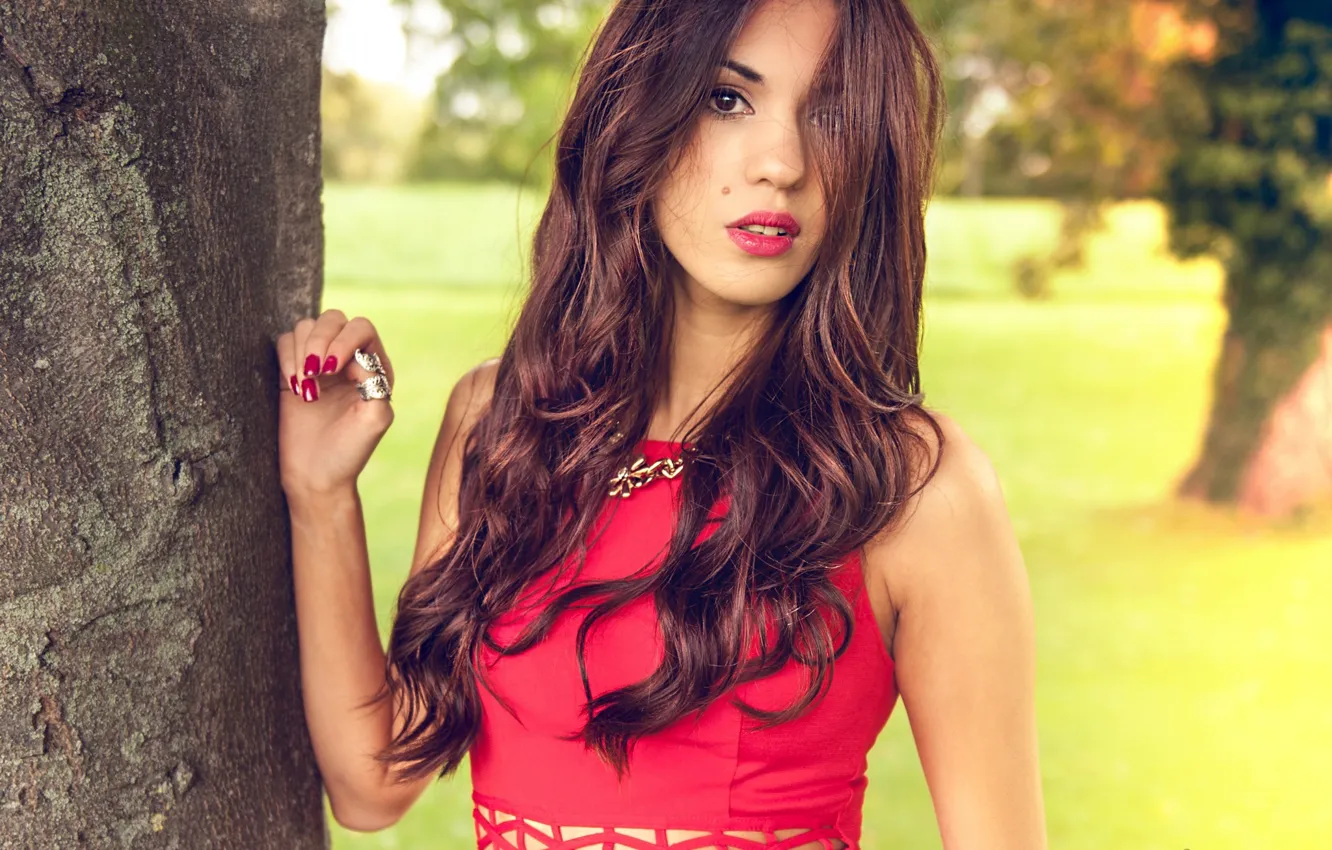Фото обои Girl, Red, Nature, Model, Tree, Laura, Dress