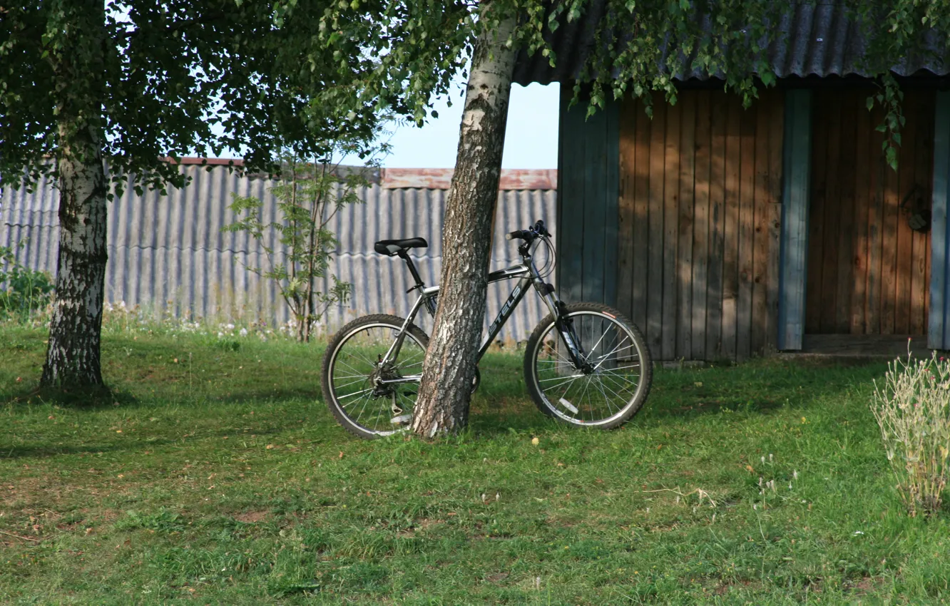 Фото обои природа, велосипед, обои, прогулка, картинка