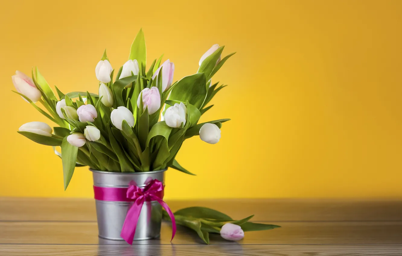 Фото обои цветы, ведро, тюльпаны, белые, бант