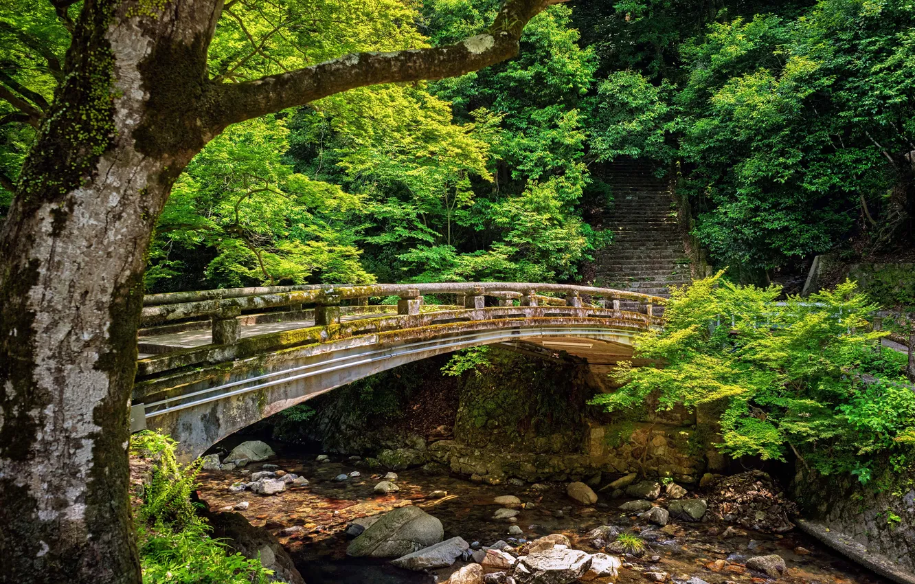 Фото обои зелень, деревья, река, камни, Япония, Japan, River, Minoh Bridge