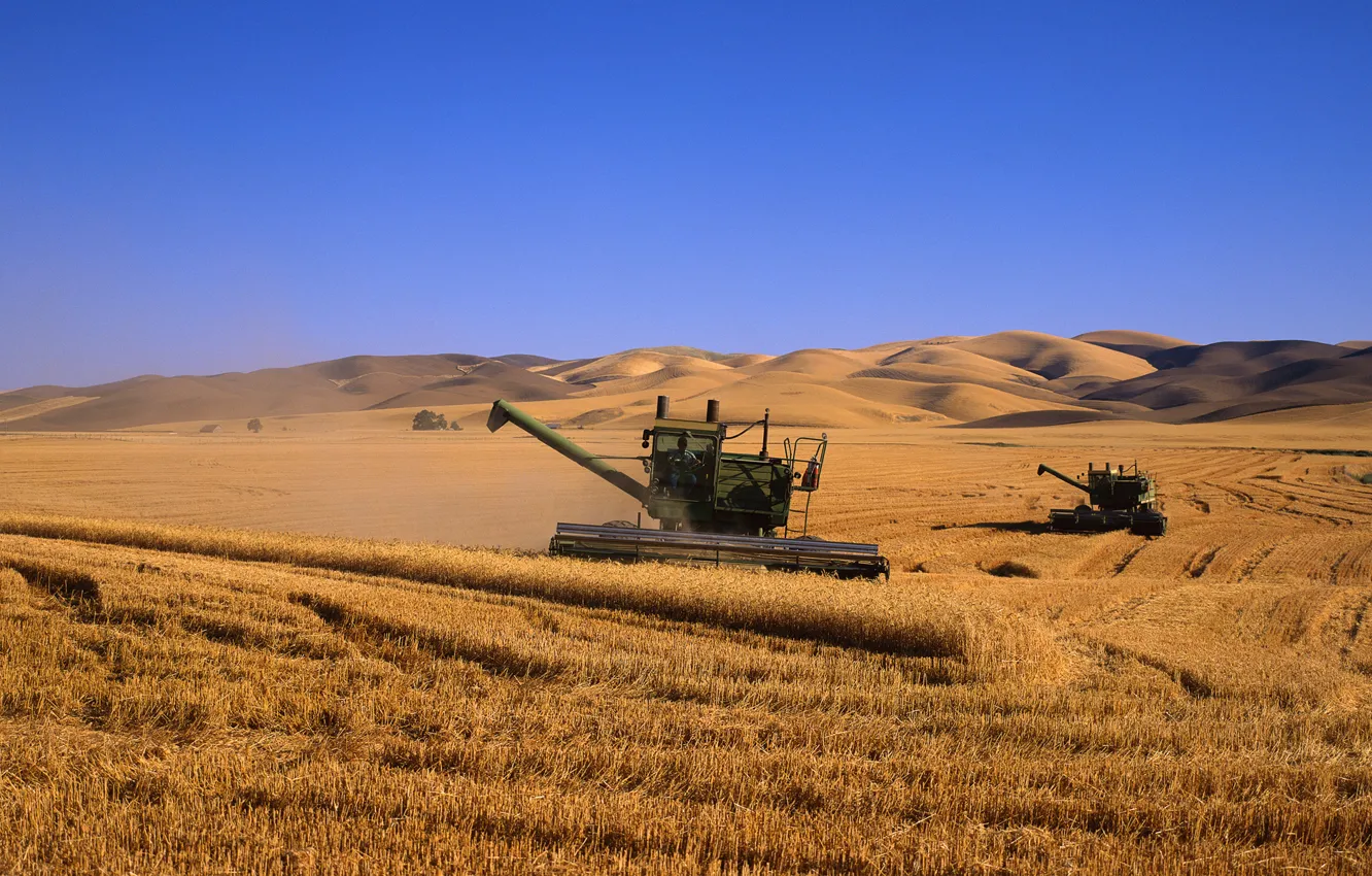 Фото обои пшеница, поле, комбаины