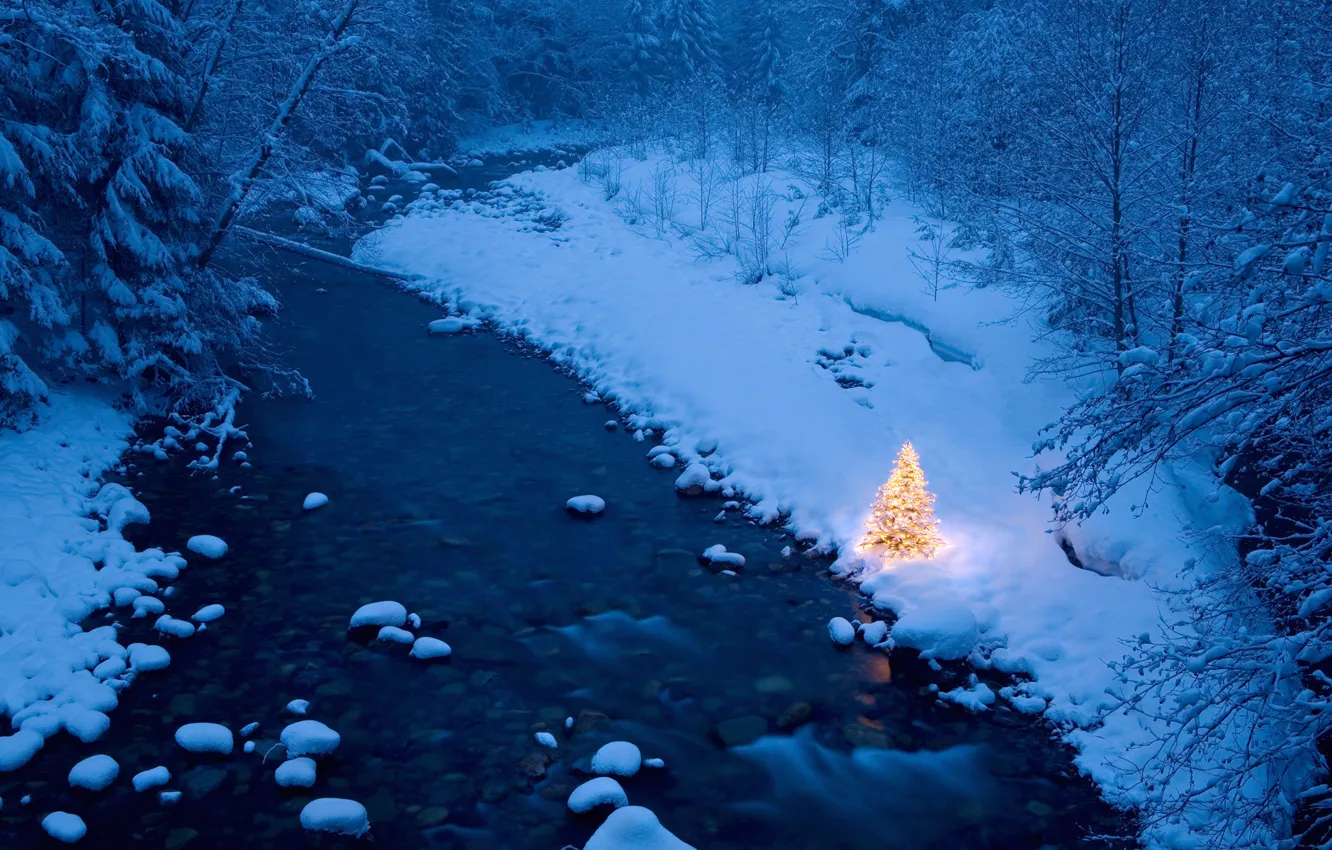 Фото обои лес, река, зимний, ёлка, гирлянды, новогодняя