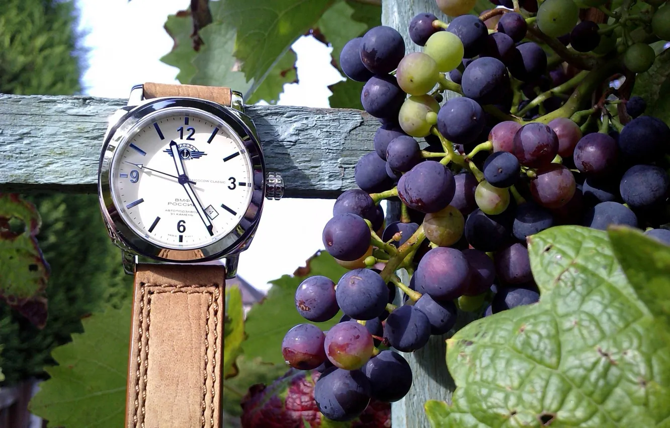 Фото обои листья, время, дерево, настроения, часы, кожа, виноград