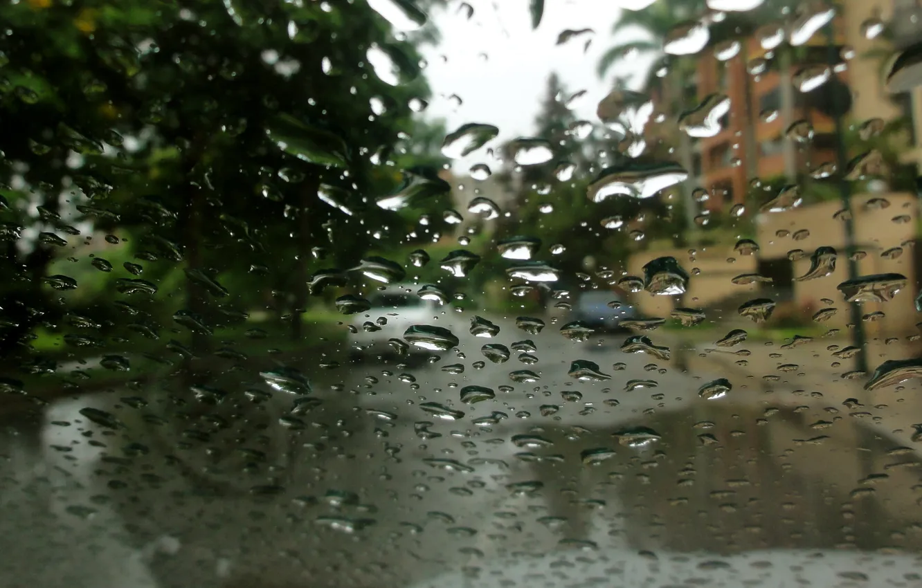 Фото обои стекло, капли, дождь, улица