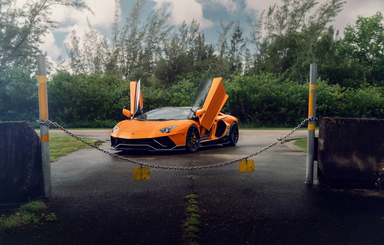 Фото обои car, Lamborghini, wallpaper