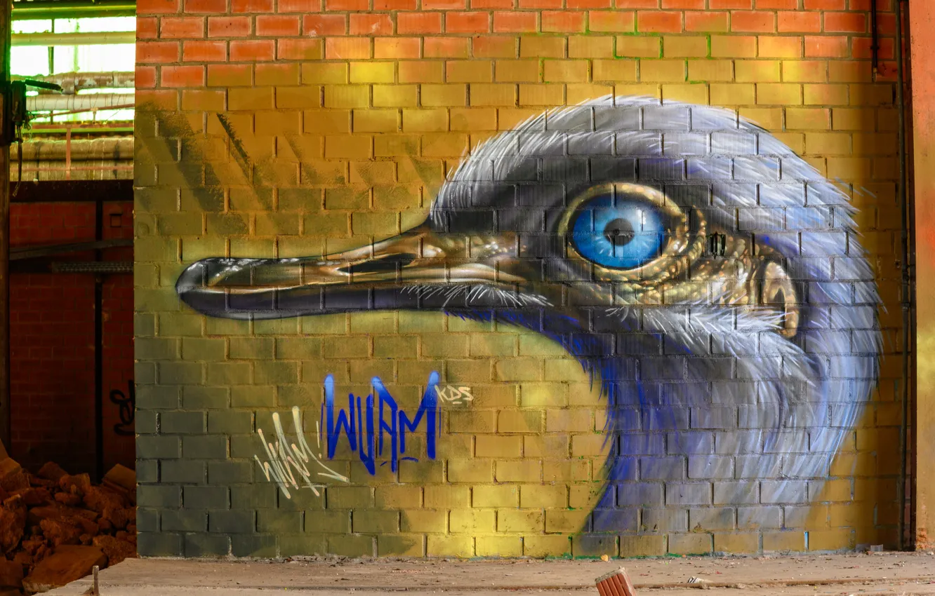 Фото обои птица, голова, стена граффити