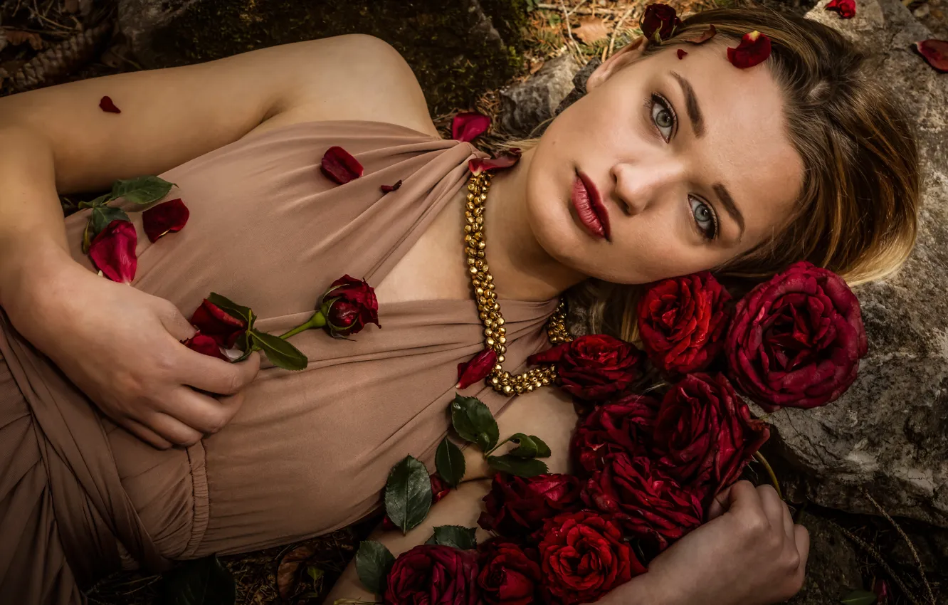 Фото обои взгляд, девушка, цветы, лицо, розы, лепестки, Светлана Литвинова
