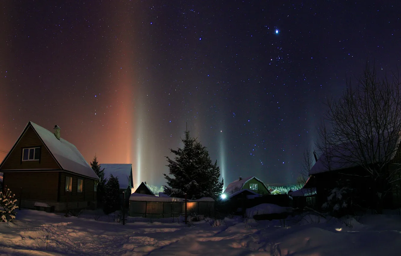 Фото обои зима, небо, звезды, снег, деревья, ночь, огни, сугробы