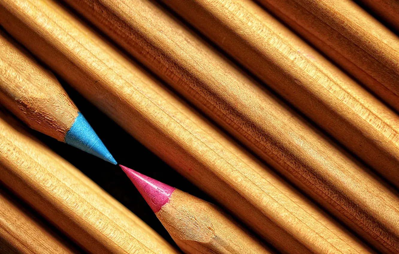 Фото обои макро, фон, карандаши