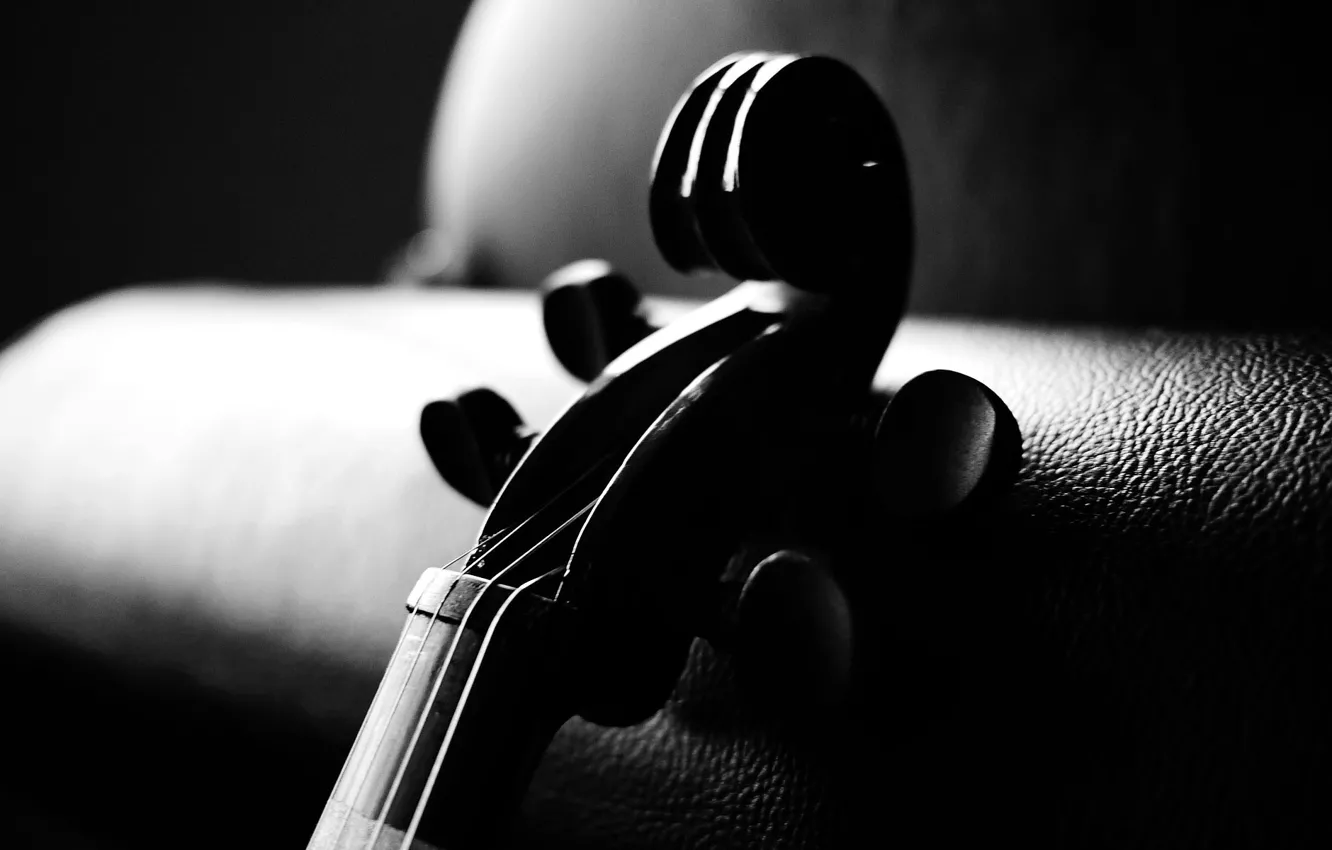 Фото обои violin, Minimalism, couch, a musical instrument