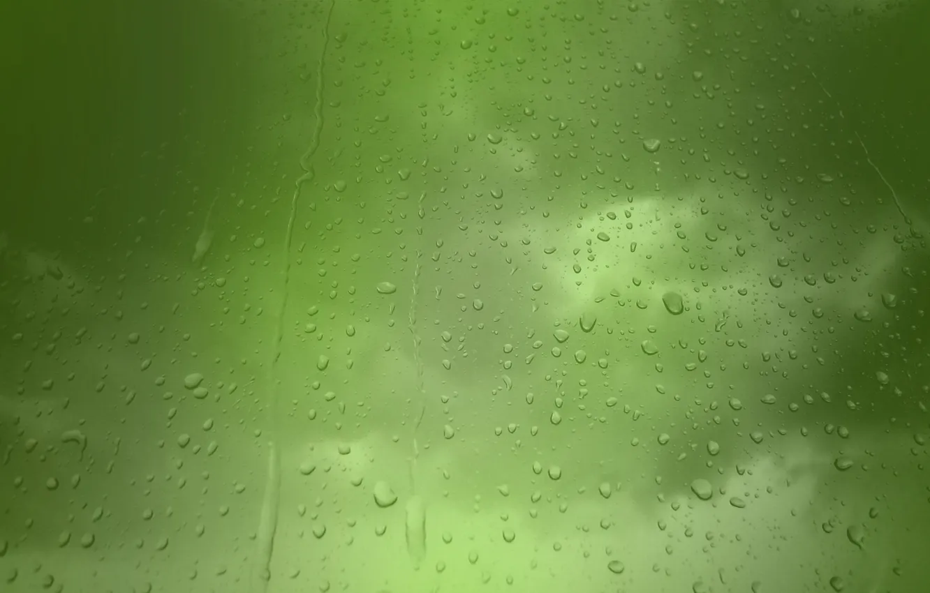 Фото обои капельки, дождь, Зеленый фон