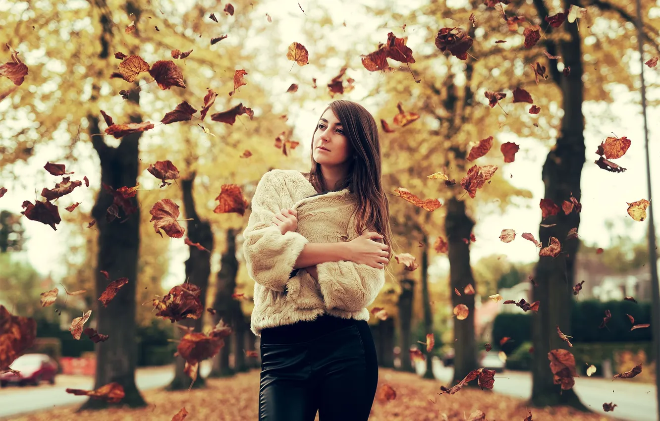 Фото обои осень, листья, девушка
