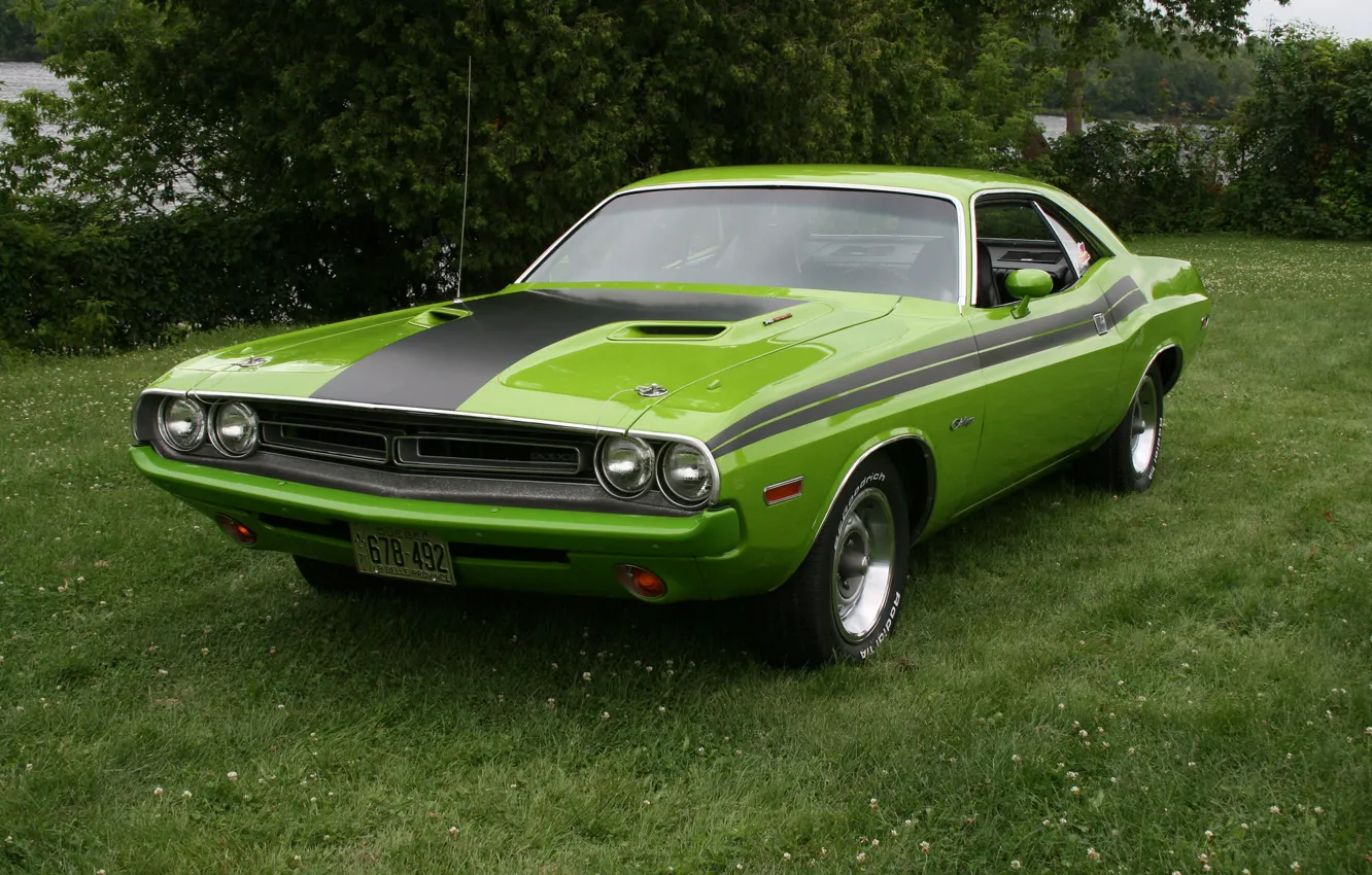 Фото обои 1971, Dodge, Challenger, Green
