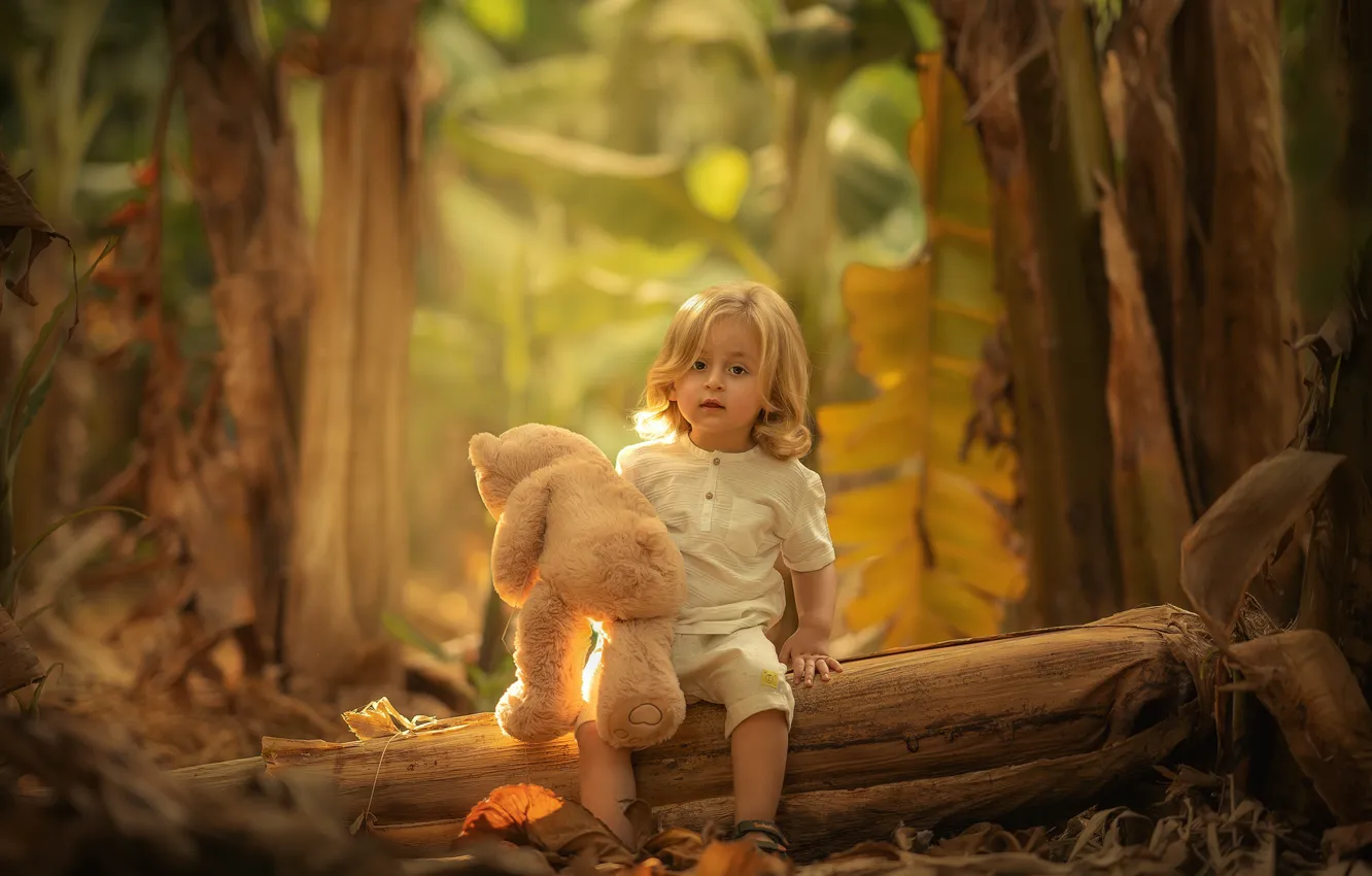 Фото обои лес, природа, игрушка, малыш, мишка, бревно, ребёнок, Keren Genish