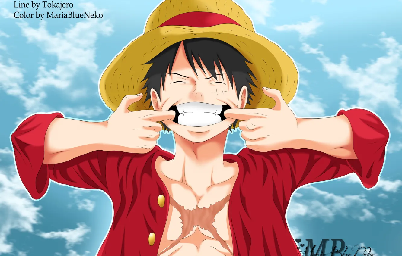 Фото обои улыбка, шляпа, парень, One Piece, шрам