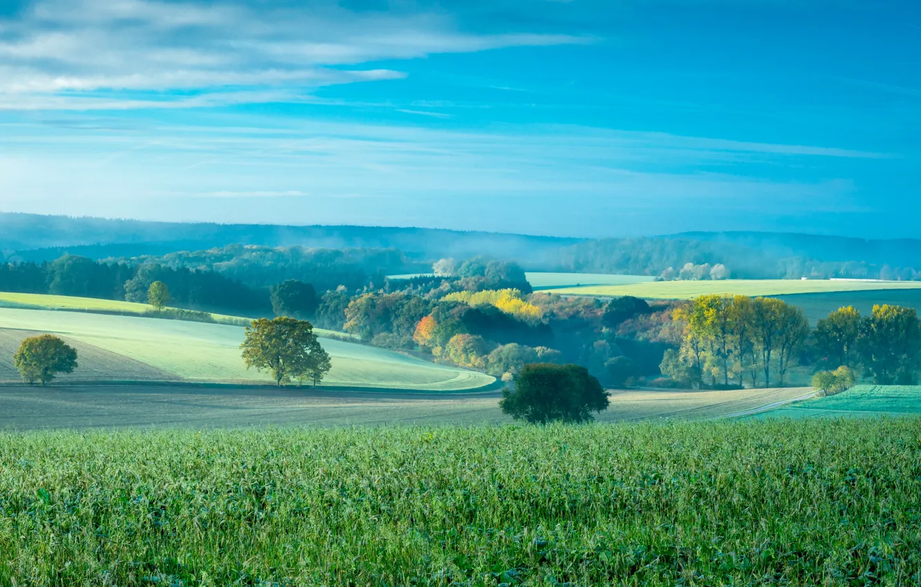 Фото обои поле, осень, деревья, природа, холмы